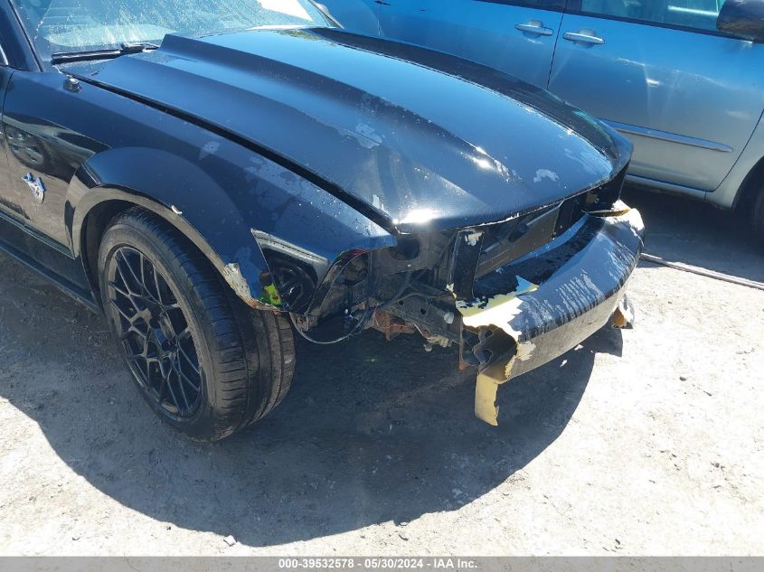 2009 Ford Mustang V6 VIN: 1ZVHT80N095127896 Lot: 39532578