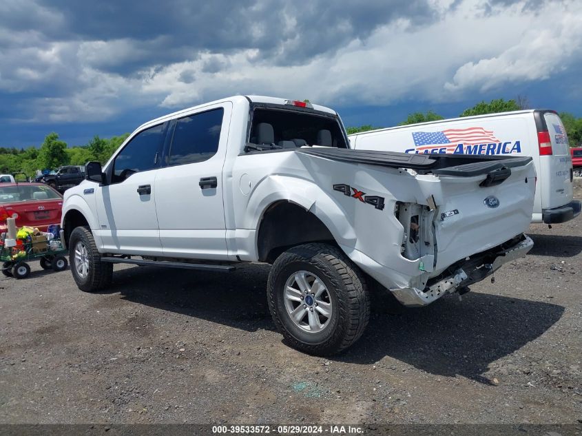 2017 Ford F-150 Xlt VIN: 1FTEW1EG5HFB12043 Lot: 39533572