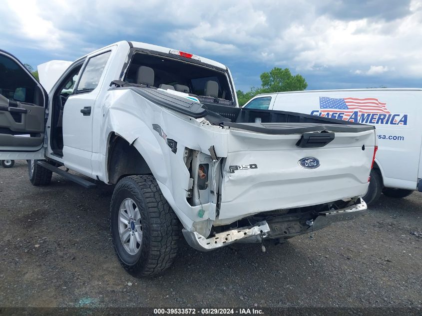 2017 Ford F-150 Xlt VIN: 1FTEW1EG5HFB12043 Lot: 39533572