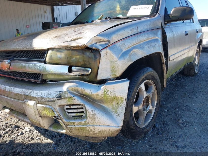 2007 Chevrolet Trailblazer Ls VIN: 1GNDS13S572206256 Lot: 39533882