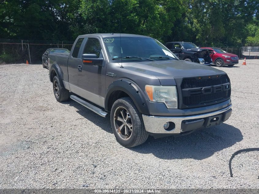 2010 Ford F-150 Fx2 Sport/Lariat/Xl/Xlt VIN: 1FTFX1CV8AKB71037 Lot: 39534131