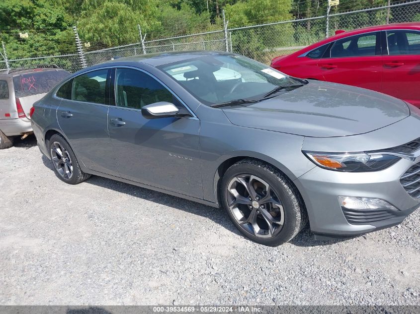 2023 Chevrolet Malibu Fwd 1Lt VIN: 1G1ZD5ST3PF181000 Lot: 39534569