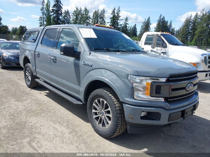 2019 FORD F-150 XLT - 1FTEW1E43KKC99352