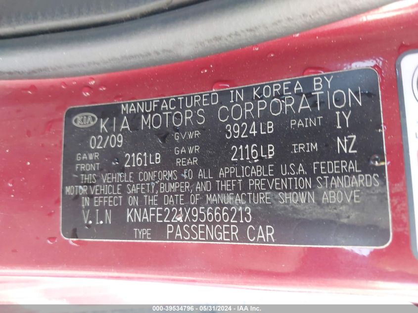 2009 Kia Spectra Ex VIN: KNAFE221X95666213 Lot: 39534796