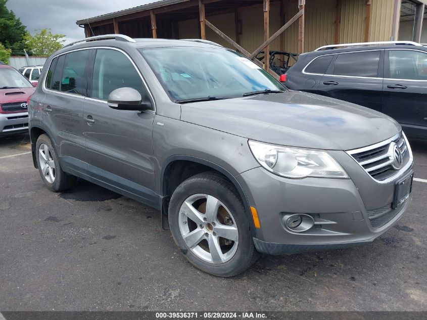 2010 Volkswagen Tiguan Wolfsburg Edition VIN: WVGBV7AX2AW528146 Lot: 39536371