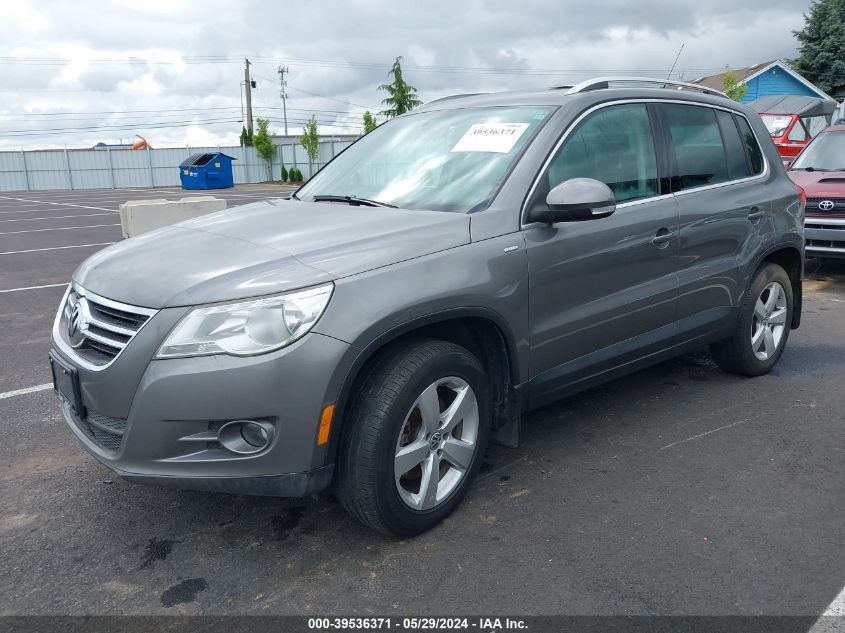 2010 Volkswagen Tiguan Wolfsburg Edition VIN: WVGBV7AX2AW528146 Lot: 39536371