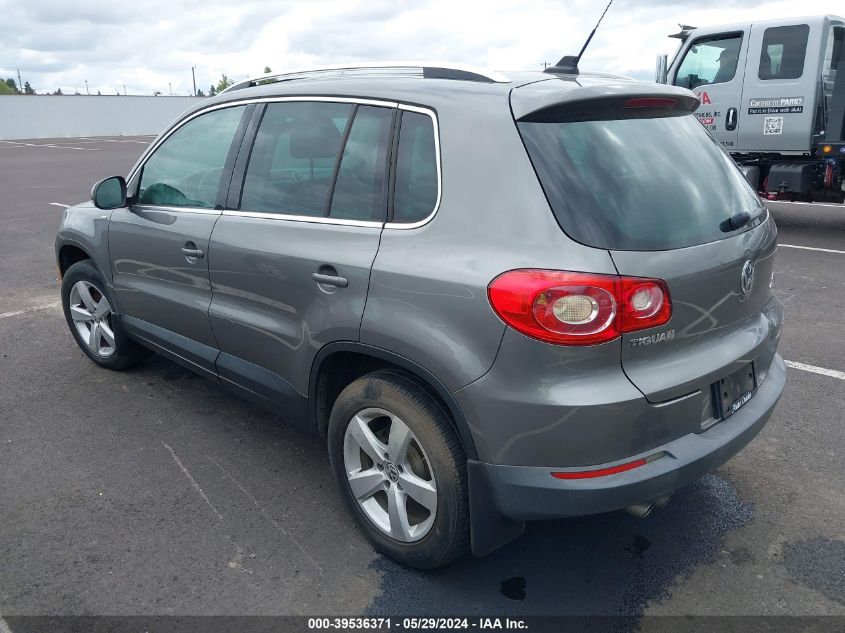 2010 Volkswagen Tiguan Wolfsburg Edition VIN: WVGBV7AX2AW528146 Lot: 39536371