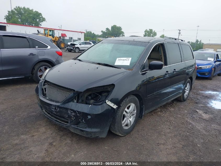 2007 Honda Odyssey Ex-L VIN: 5FNRL387X7B072496 Lot: 39536913