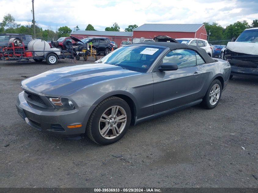 2010 Ford Mustang V6/V6 Premium VIN: 1ZVBP8EN1A5163118 Lot: 39536933