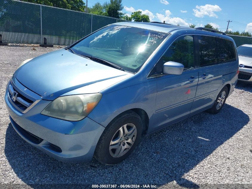 2006 Honda Odyssey Ex-L VIN: 5FNRL38646B029343 Lot: 39537367