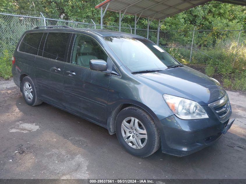 2005 Honda Odyssey Ex-L VIN: 5FNRL38795B118543 Lot: 39537561