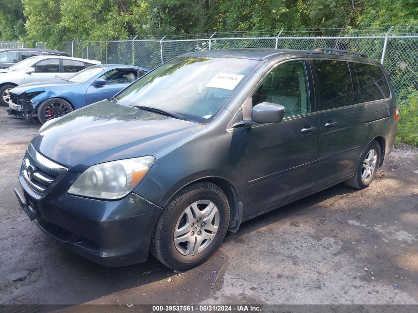 2005 Honda Odyssey Ex-L VIN: 5FNRL38795B118543 Lot: 39537561