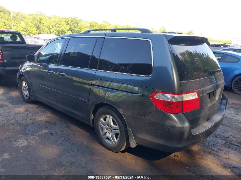 2005 Honda Odyssey Ex-L VIN: 5FNRL38795B118543 Lot: 39537561