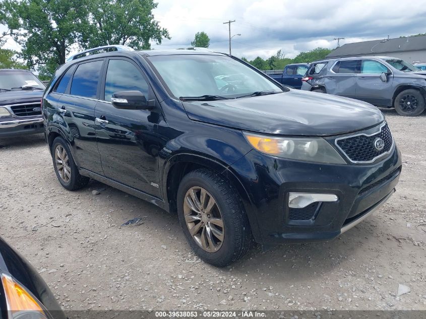 2011 Kia Sorento Sx V6 VIN: 5XYKWDA29BG131990 Lot: 39538053