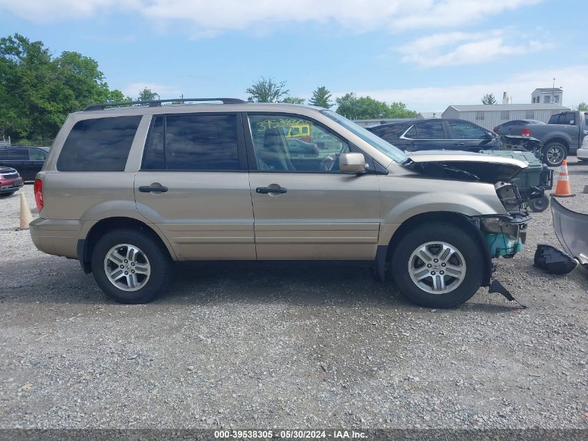 2005 Honda Pilot Ex VIN: 5FNYF184X5B019324 Lot: 39538305