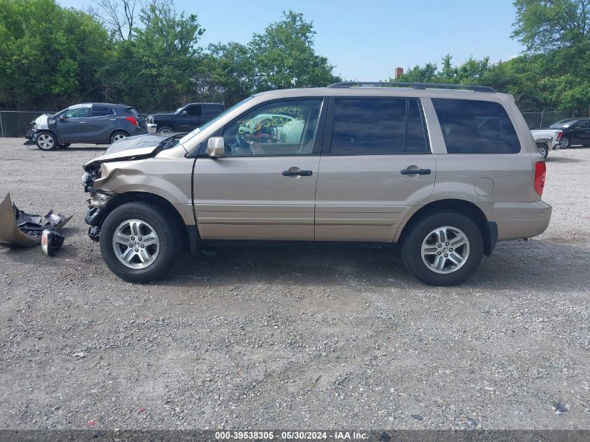 2005 Honda Pilot Ex VIN: 5FNYF184X5B019324 Lot: 39538305