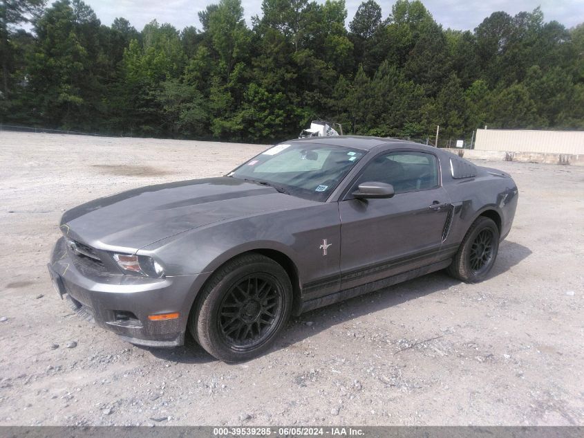 2010 Ford Mustang V6/V6 Premium VIN: 1ZVBP8AN8A5131675 Lot: 39539285