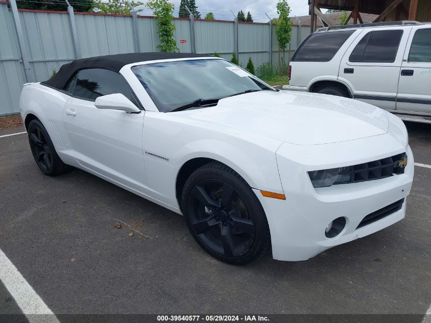 2011 Chevrolet Camaro 1Lt VIN: 2G1FB3DDXB9195559 Lot: 39540577