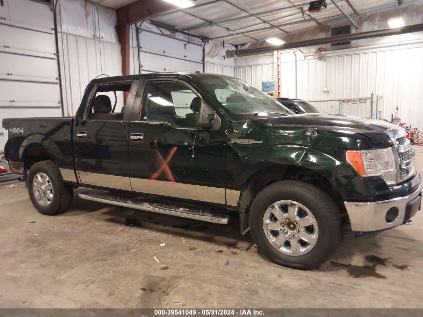 2013 Ford F-150 Xlt VIN: 1FTFW1EF2DFD46419 Lot: 39541049