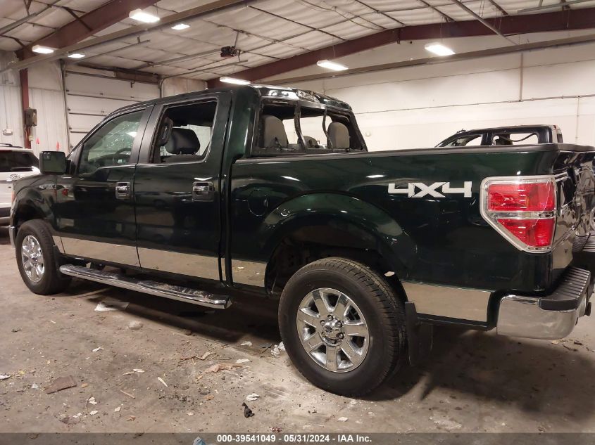 2013 Ford F-150 Xlt VIN: 1FTFW1EF2DFD46419 Lot: 39541049