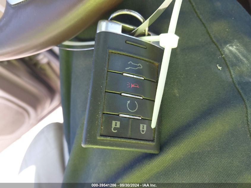 2010 Cadillac Srx Luxury Collection VIN: 3GYFNDEY0AS549901 Lot: 39541286