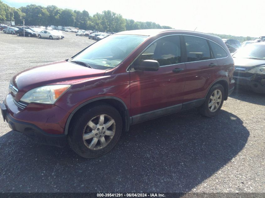 2009 Honda Cr-V Ex VIN: 5J6RE485X9L003641 Lot: 39541291