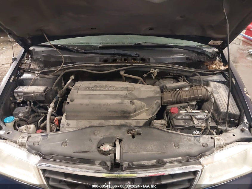 2004 Honda Odyssey Ex-L VIN: 5FNRL18084B054324 Lot: 39541566