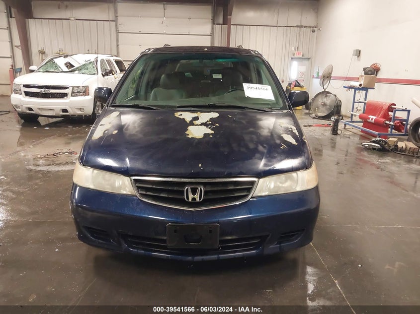 2004 Honda Odyssey Ex-L VIN: 5FNRL18084B054324 Lot: 39541566