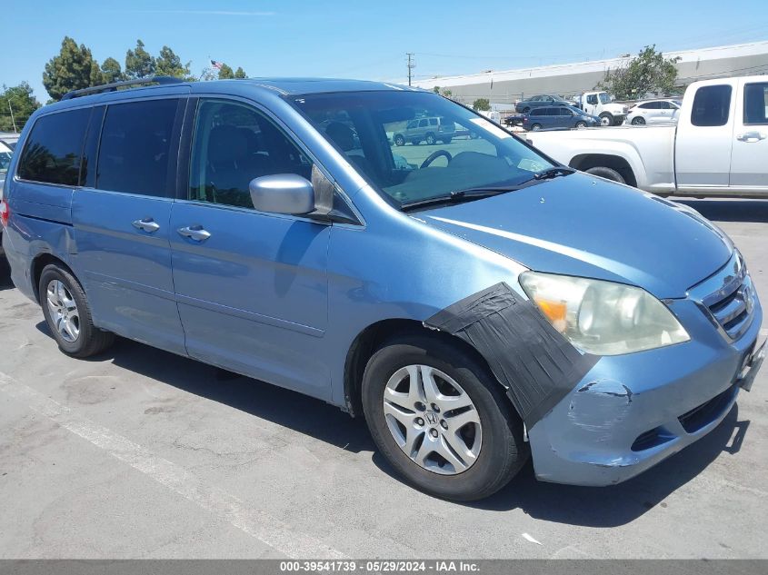 2005 Honda Odyssey Ex-L VIN: 5FNRL38605B080806 Lot: 39541739