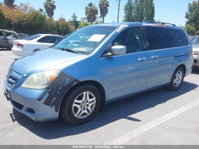 2005 Honda Odyssey Ex-L VIN: 5FNRL38605B080806 Lot: 39541739