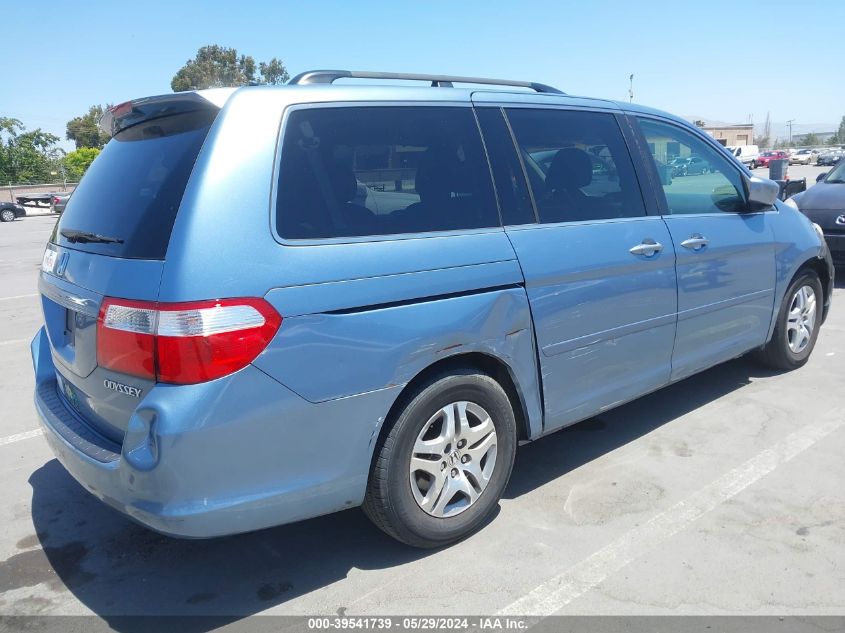 2005 Honda Odyssey Ex-L VIN: 5FNRL38605B080806 Lot: 39541739