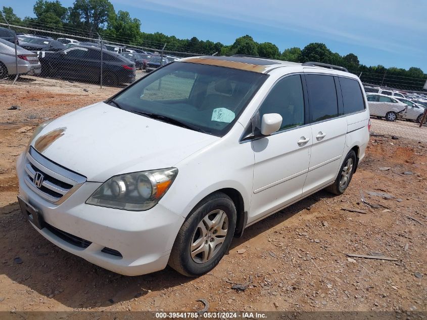 2006 Honda Odyssey Exl VIN: 5FNRL38626B438053 Lot: 39541785