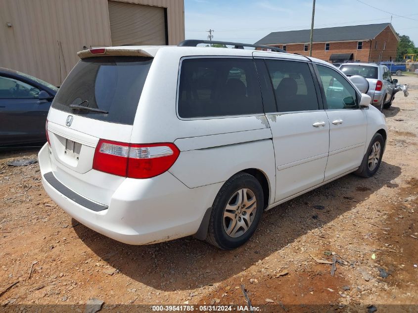 2006 Honda Odyssey Exl VIN: 5FNRL38626B438053 Lot: 39541785