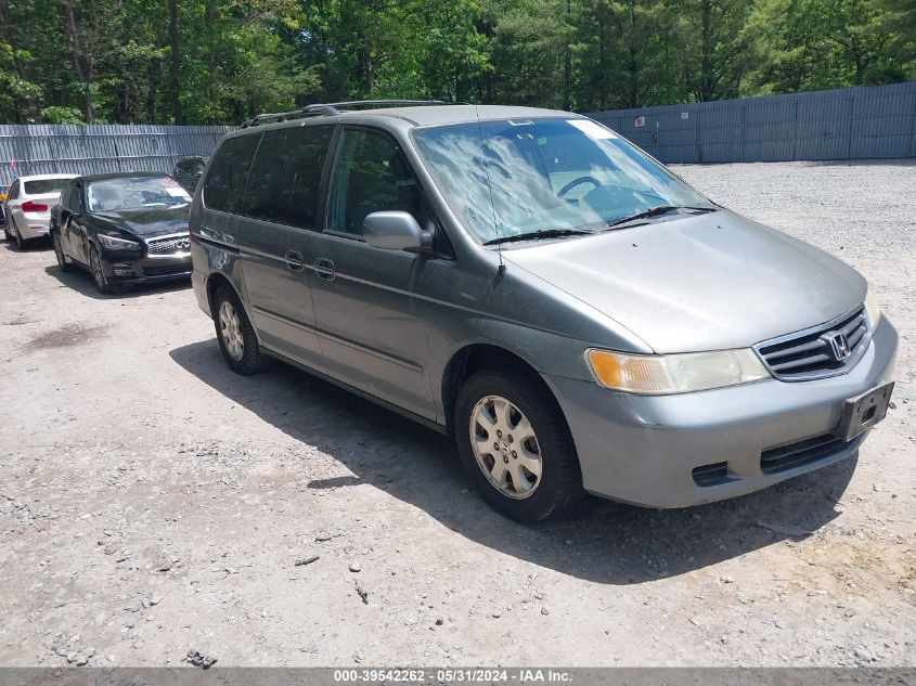 2002 Honda Odyssey Ex VIN: 5FNRL18612B018587 Lot: 39542262