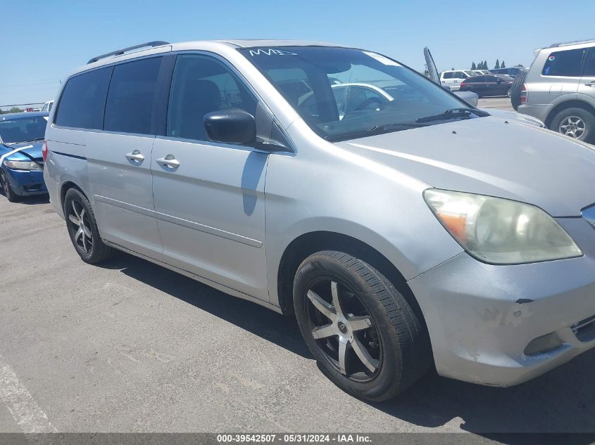 2007 Honda Odyssey Touring VIN: 5FNRL38837B008146 Lot: 39542507