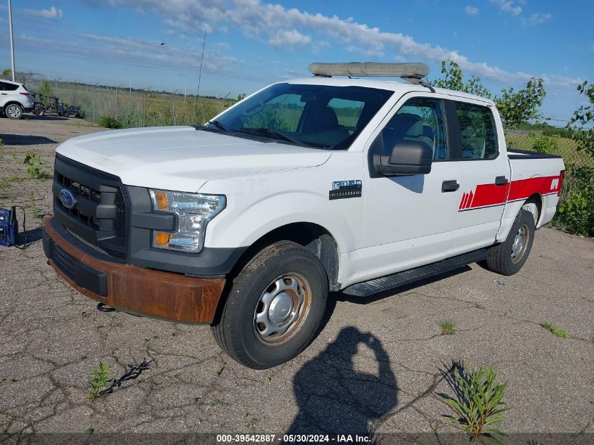 2016 Ford F-150 Xl VIN: 1FTEW1E81GFB03170 Lot: 39542887