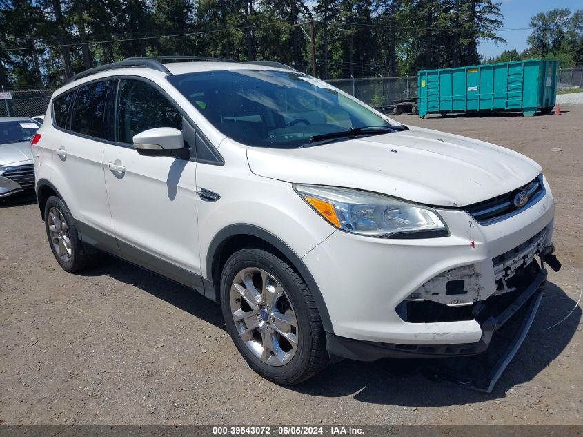 2013 Ford Escape Sel VIN: 1FMCU9HX1DUA59169 Lot: 39543072