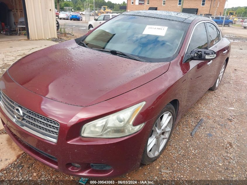 1N4AA5AP4BC839585 2011 Nissan Maxima 3.5 Sv