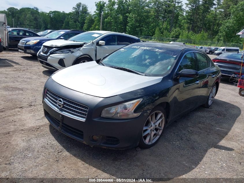 2010 Nissan Maxima 3.5 Sv VIN: 1N4AA5AP3AC847109 Lot: 39544466