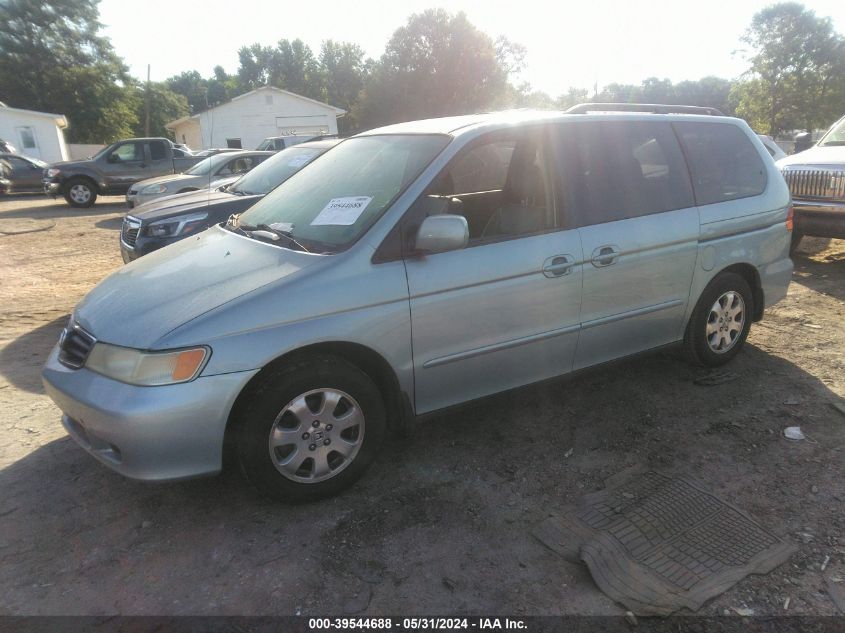 2004 Honda Odyssey Exl VIN: 5FNRL18994B036431 Lot: 39544688