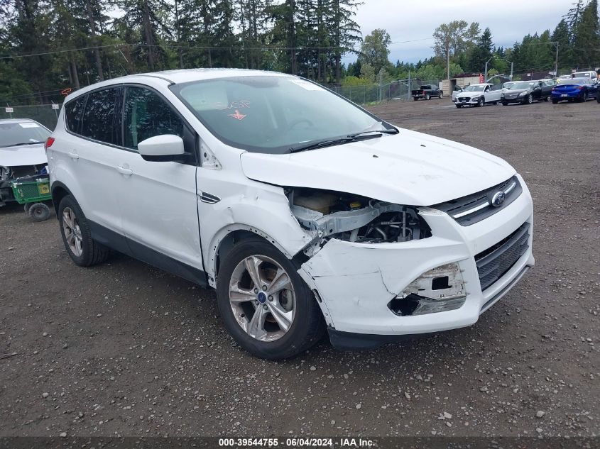 2014 FORD ESCAPE SE - 1FMCU0GX2EUD65246