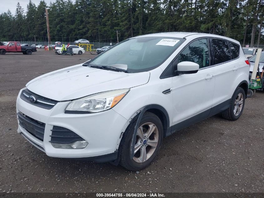 2014 Ford Escape Se VIN: 1FMCU0GX2EUD65246 Lot: 39544755