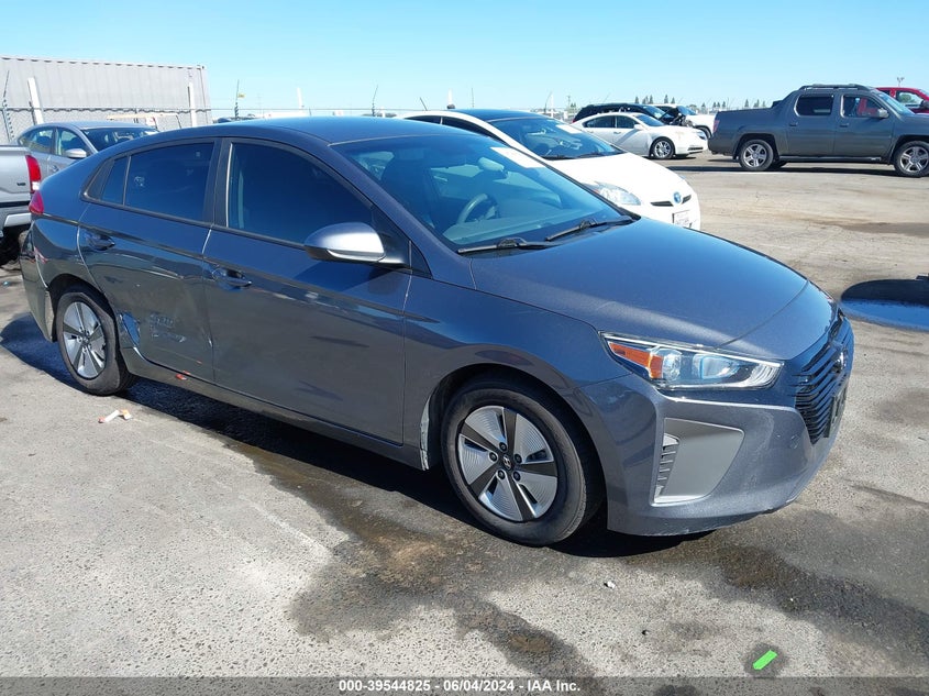 2019 Hyundai Ioniq Hybrid Blue VIN: KMHC65LC1KU179817 Lot: 39544825