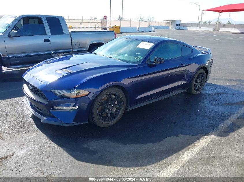 2019 Ford Mustang VIN: 1FA6P8THXK5135195 Lot: 39544944