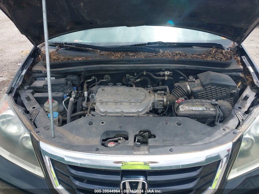 2008 Honda Odyssey Ex-L VIN: 5FNRL38728B098852 Lot: 39544964