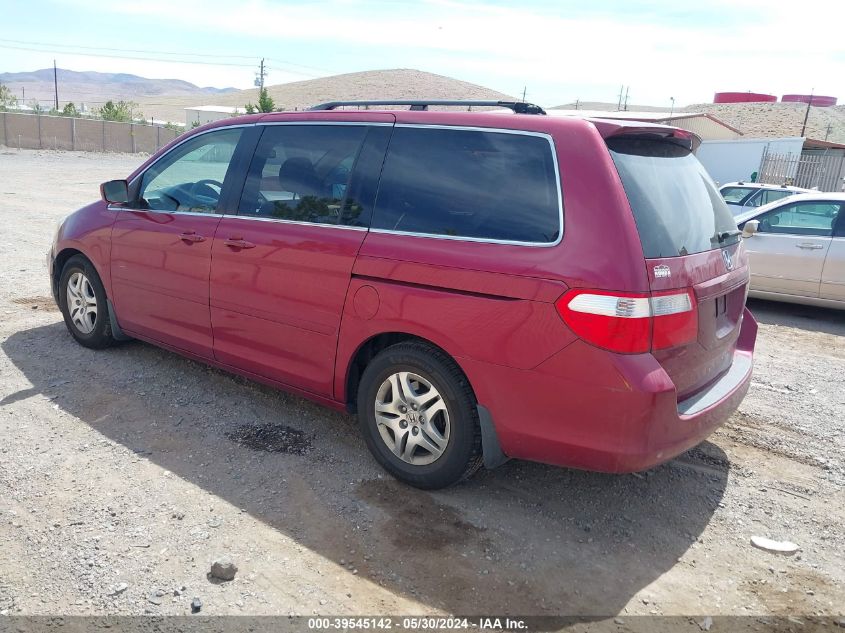 2005 Honda Odyssey Ex VIN: 5FNRL38475B007981 Lot: 39545142