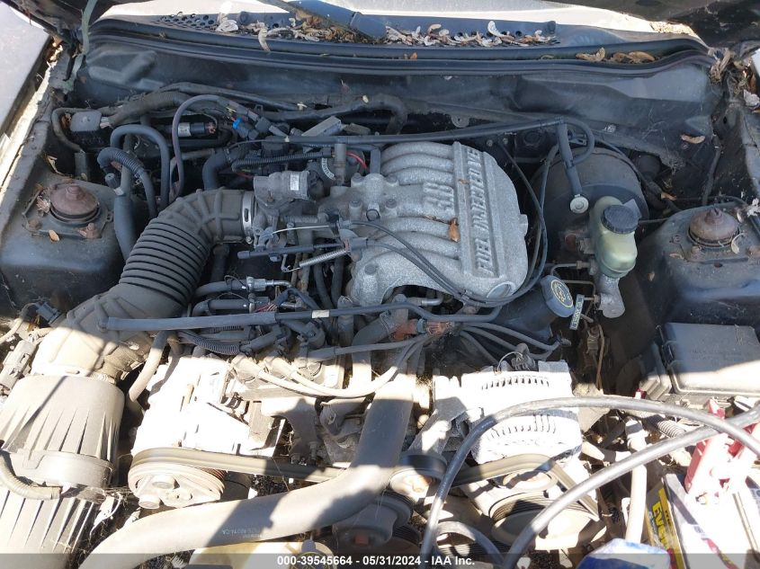 1998 Ford Mustang VIN: 1FAFP4042WF256734 Lot: 39545664