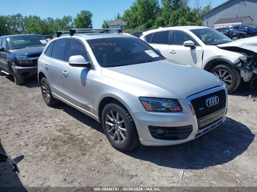 2010 Audi Q5 3.2 Premium VIN: WA1LKAFP0AA022619 Lot: 39546781