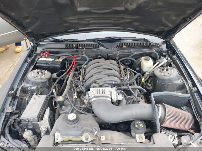 2008 Ford Mustang Gt Deluxe/Gt Premium VIN: 1ZVHT82H985168050 Lot: 39546856