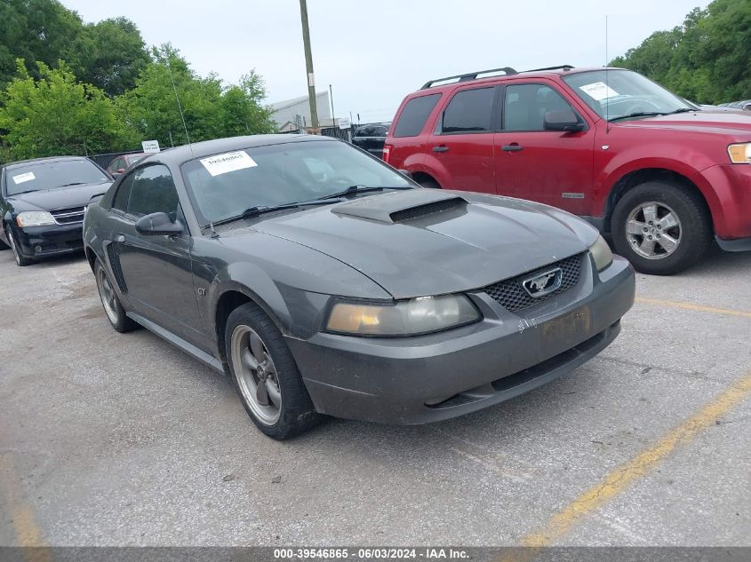 2003 Ford Mustang Gt VIN: 1FAFP42XX3F358141 Lot: 39546865